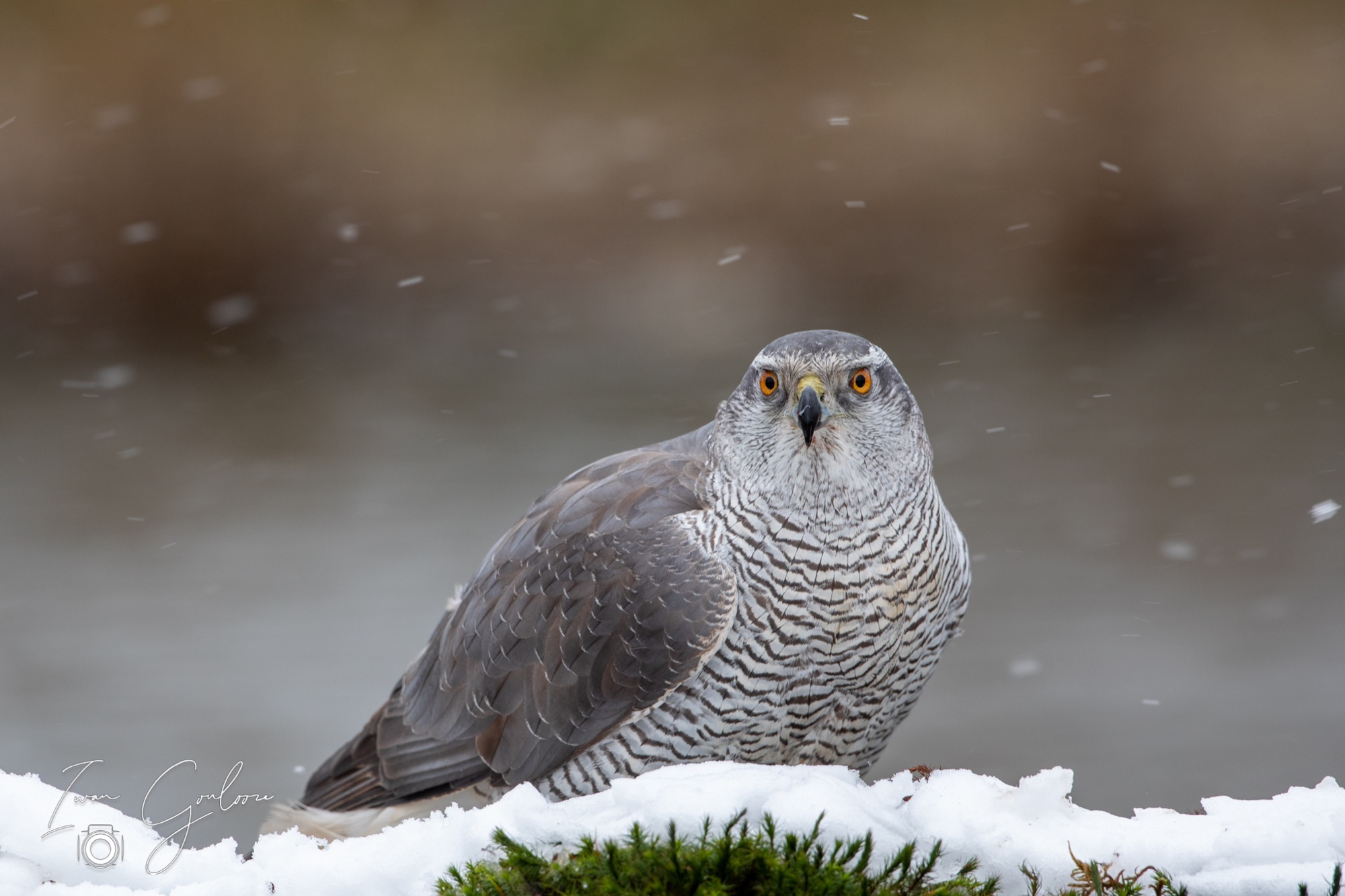 01 april 2022 125232  5D45859